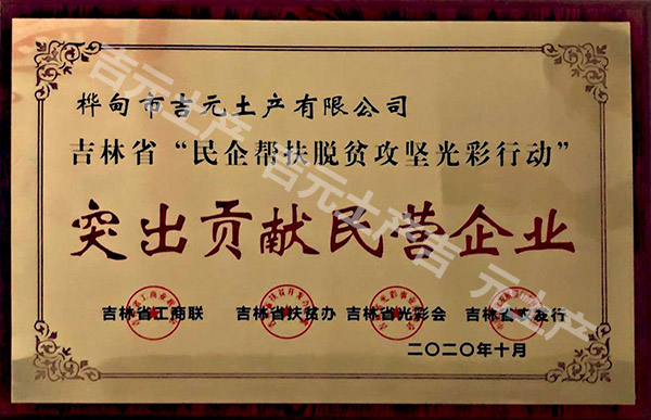 突出貢獻(xiàn)民營企業(yè)